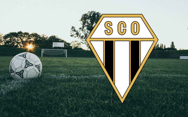 SCO ANGERS - Un club en pleine renaissance