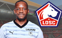 Steve Mandanda au LOSC : bonne ou mauvaise idée pour Lille ?