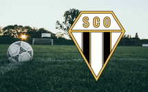 SCO ANGERS - Un club en pleine renaissance